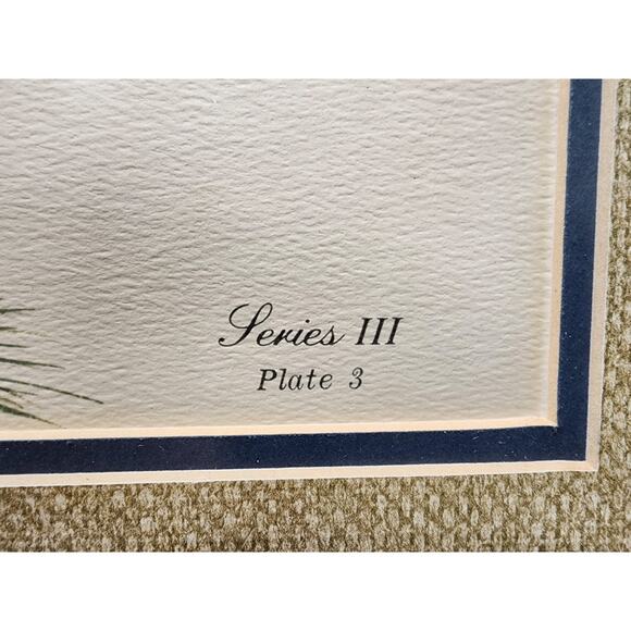 Gene Gray Red Squirrel Lithograph 1977 Series3 Plate3 Signed Framed Wildlife Art - Picture 7 of 11